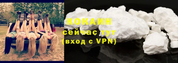 шишки Володарск