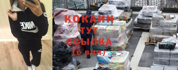 шишки Володарск