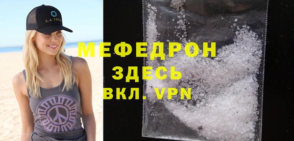 индика Козельск