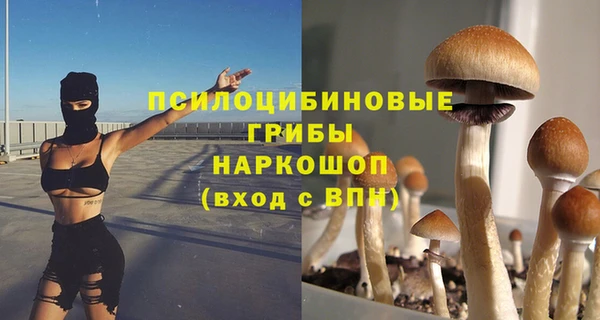 шишки Володарск