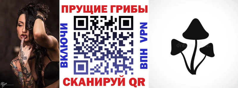 hydra сайт  магазин продажи   Вяземский  Псилоцибиновые грибы MAGIC MUSHROOMS 